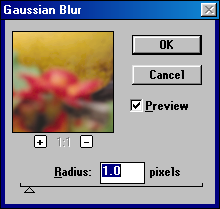 Gaussian blur filter in Adobe Photoshop 3.0.4