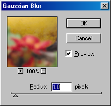 Gaussian blur filter in Adobe Photoshop 4.0