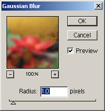 Gaussian blur filter in Adobe Photoshop 6.0