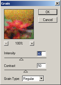 Grain filter in Adobe Photoshop 6.0