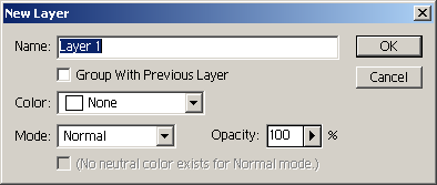 New layer in Adobe Photoshop 6.0
