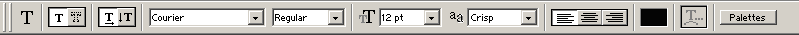 Type in Adobe Photoshop 6.0