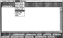 Lisa’s early desktop