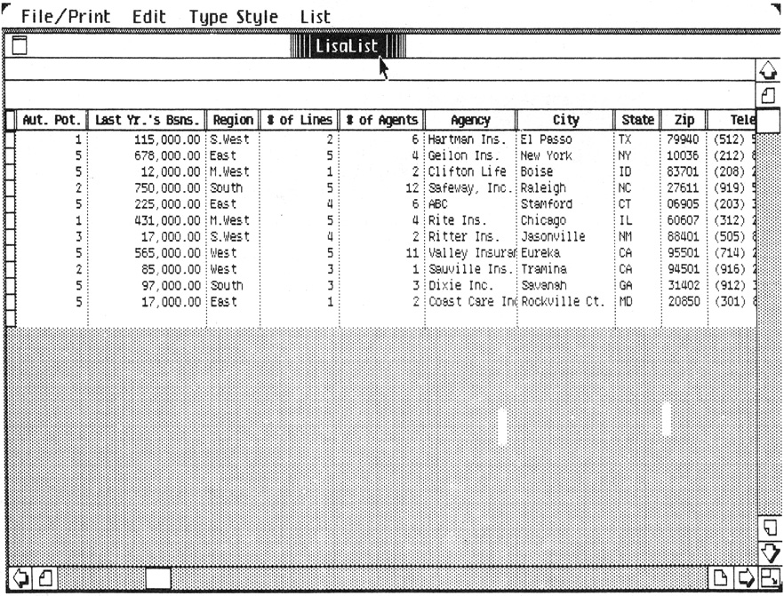 Fig. 2-3. Some data stored in a database created using LisaList.