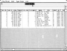 Fig. 2-3. Some data stored in a database created using LisaList.