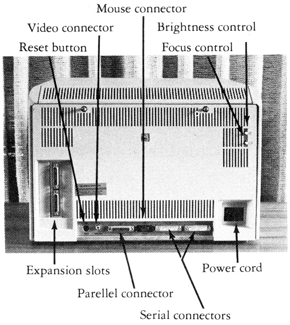 Figure 1-7: Back view of Lisa.