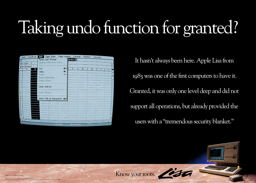 “Taking undo function for granted?” poster
