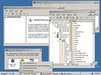 Desktop with applications in Windows Server 2003 Web