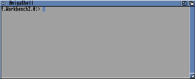 Command prompt in Workbench 2.04 (AmigaShell)