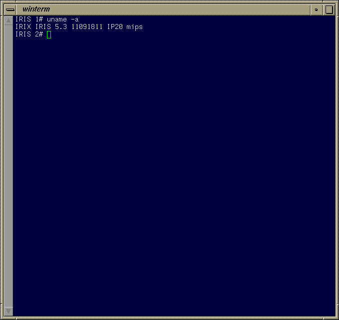 Command prompt in IRIX 5.3 (winterm)