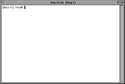 Command prompt in Mac OS X DP 2 (Terminal)