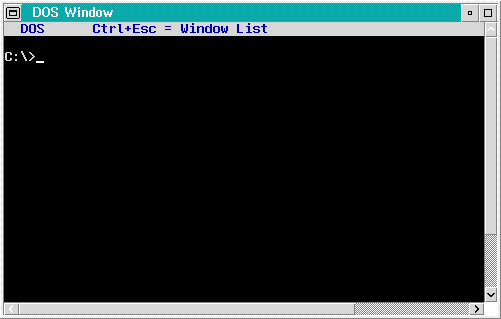 Command prompt in OS/2 2.1 (DOS Window)