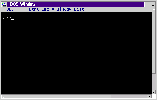 Command prompt in OS/2 Warp 3 (DOS Window)