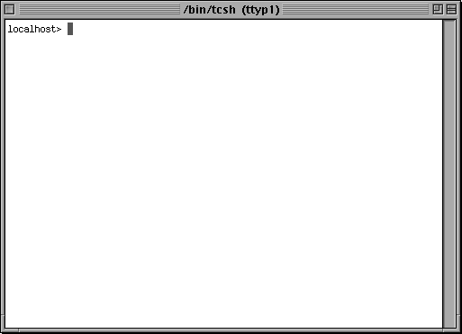 Command prompt in Rhapsody DR2 (Terminal)