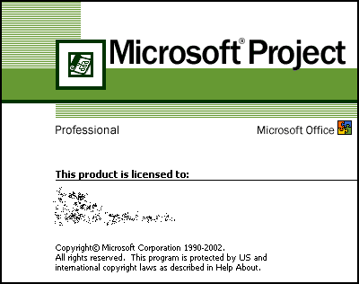 Splash in Microsoft Project 2002 Professional